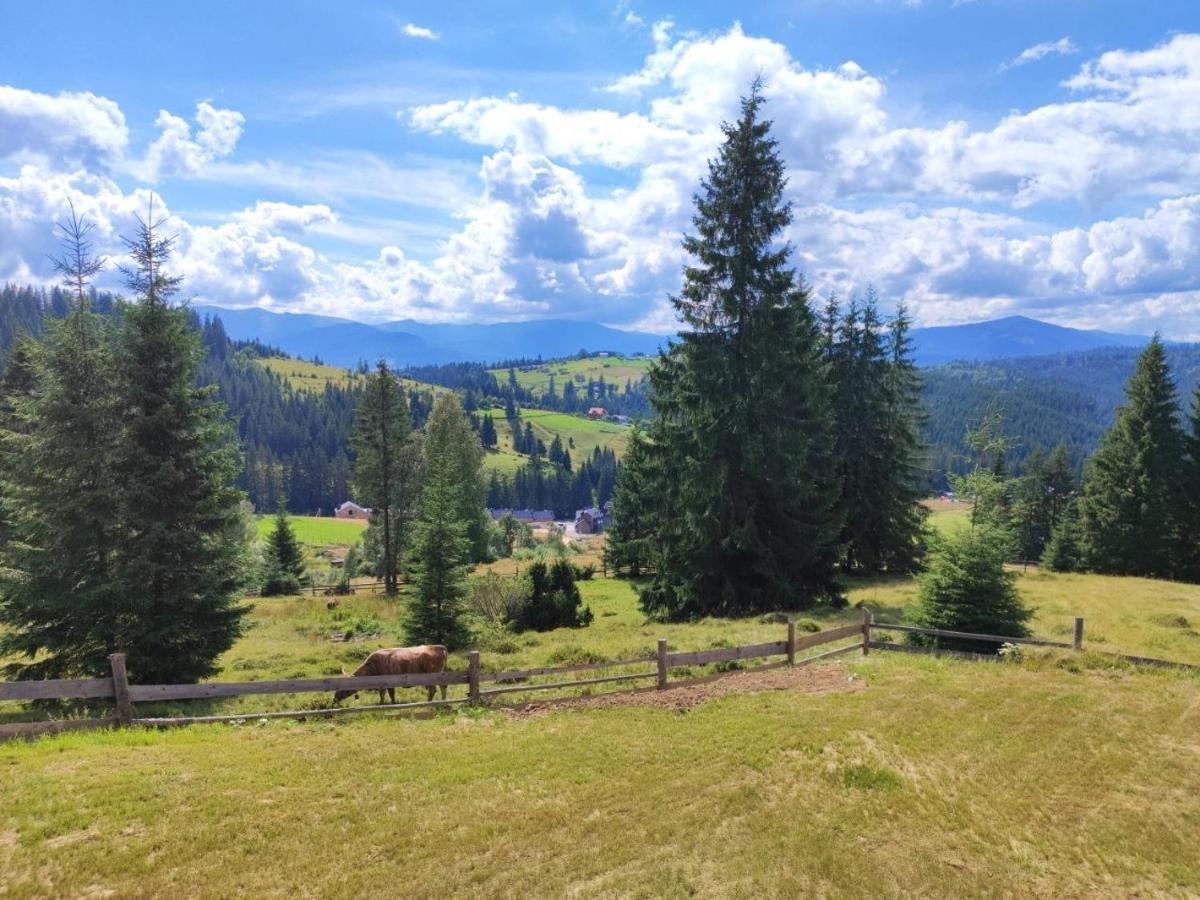 Lidia Chalets Polyanitsa Popovichevskaya Exterior foto